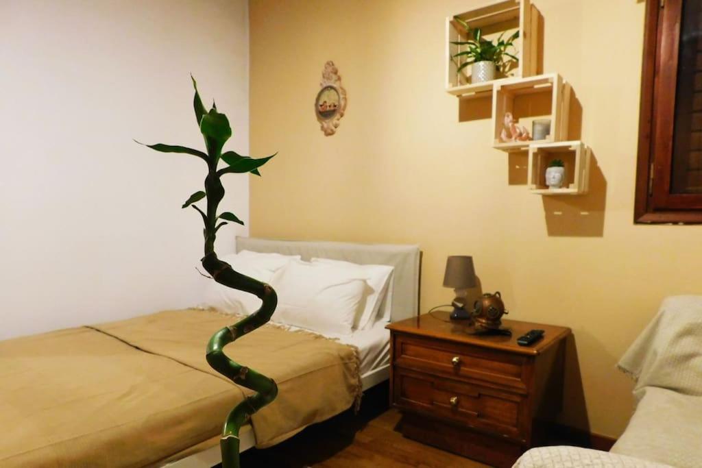 Apartamento Marco Polo'S Mooring Cozy Navy House Anavyssos Exterior foto